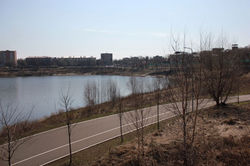 ДС Борисоглебский